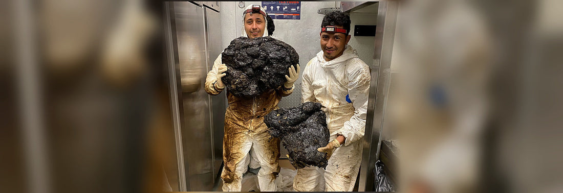 two guys holding chunks of kitchen exhaust grease