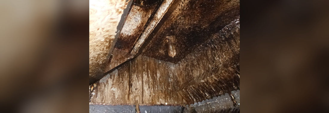 Selling Kitchen Exhaust Cleaning Jobs