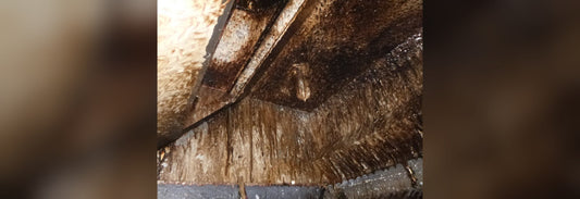 Selling Kitchen Exhaust Cleaning Jobs