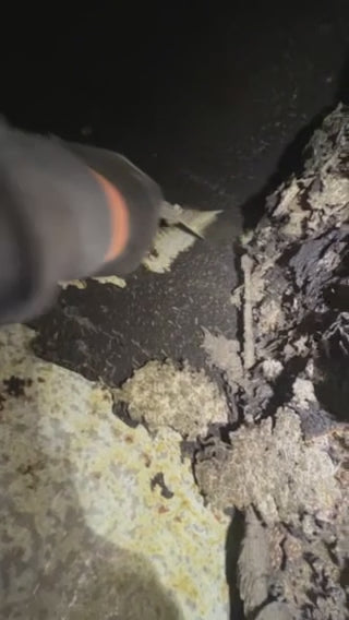 Scraper - 3" Stiff Angled Kitchen Exhaust Cleaning Scraper